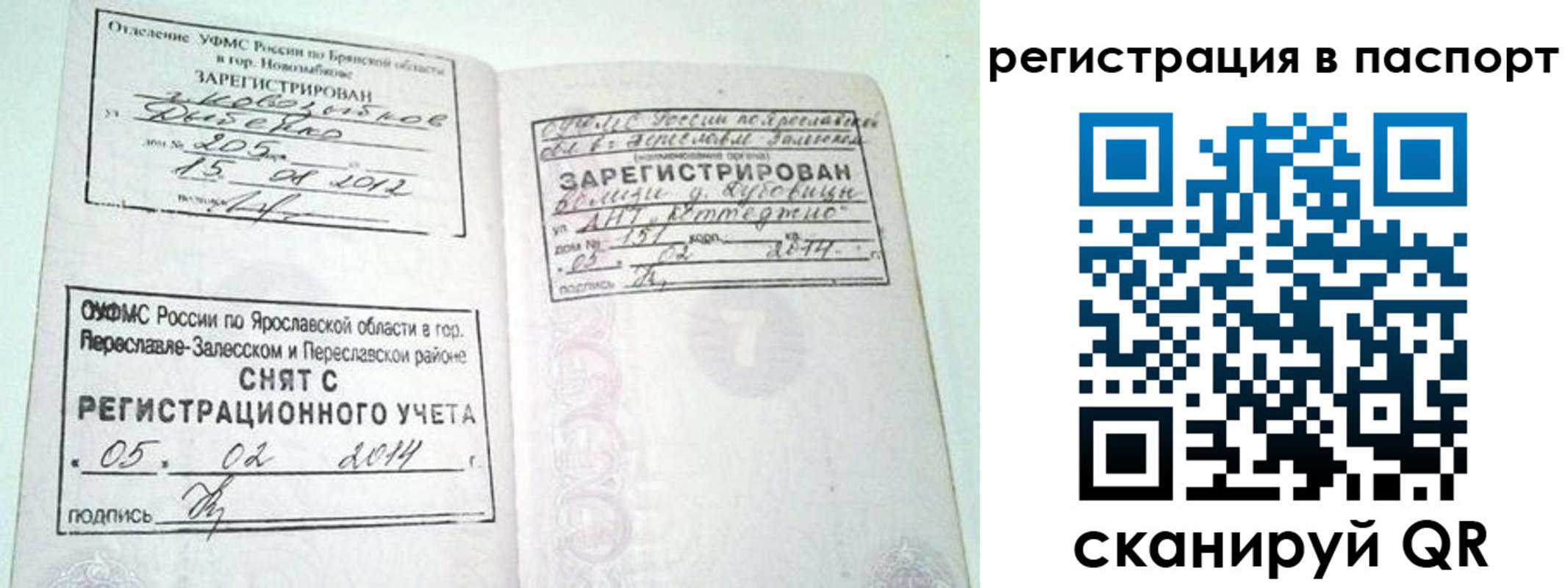 прописка в квартире в Большом Камне